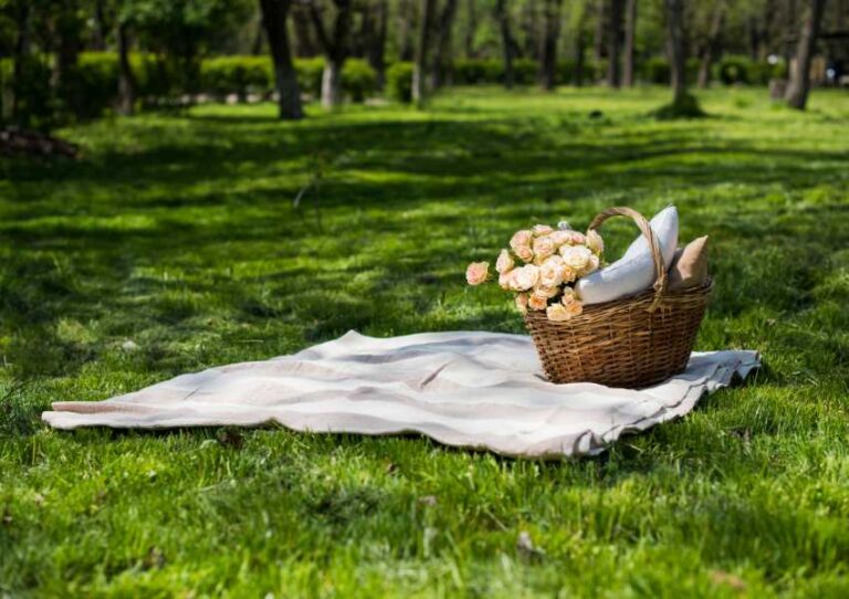 5 parques ideales para un picnic romántico en CDMX