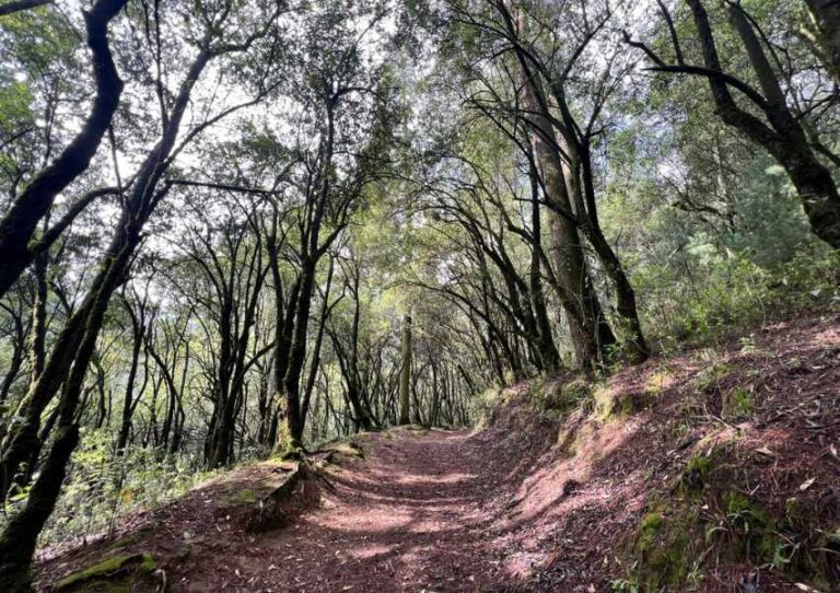 Trekking y networking en el bosque: “Byte & Bites – Tech Week Forest Adventure» de Fight Club