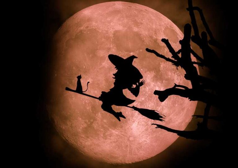 Planes terroríficos para Halloween en CDMX 2024