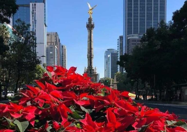 QUÉ HACER EN CDMX EN DICIEMBRE: PLANES IMPERDIBLES EN CIUDAD DE MÉXICO